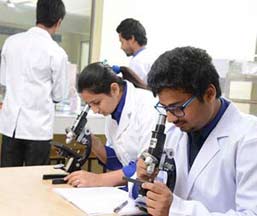 B.Sc. in Medical Laboratory Technology MLT